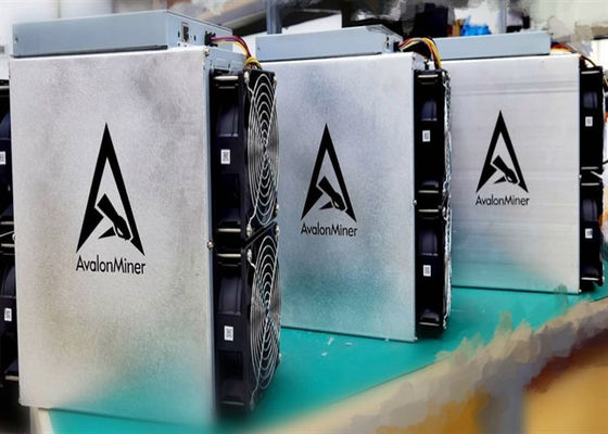 O pro mineiro de 55TH/S Canaan Avalon 1066, 3300W usou o mineiro cripto da moeda de BTC