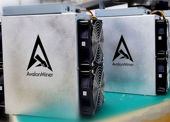 3420W usou o mineiro Machine Canaan Avalon de Bitcoin 1246 90TH/S SHA256d 12.8kg